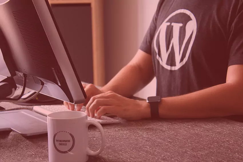 wordpress zamanlama kaçırıldı